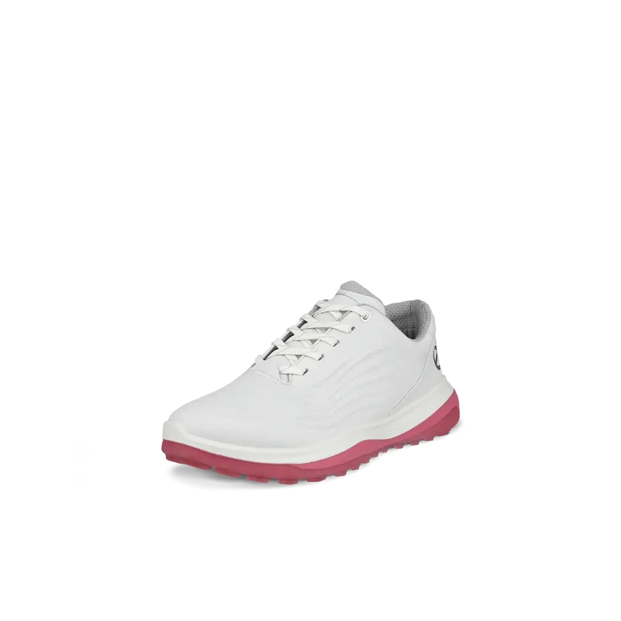 Ecco Golf LT1 Schuhe